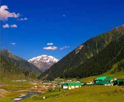 Amarnath Tourism Honeymoon